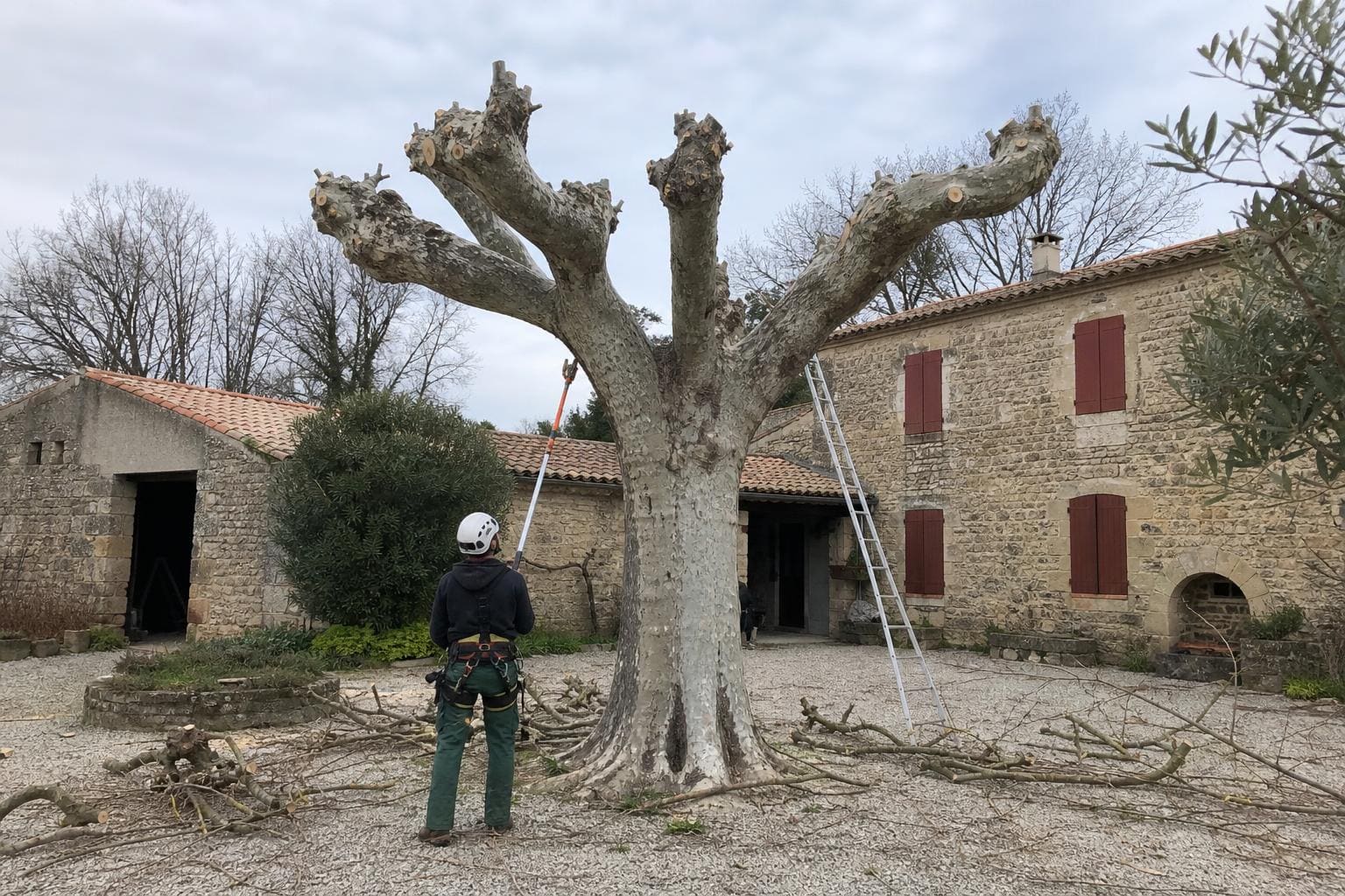 Élagueur en casque et harnais, vu de dos, qui taille à la perche un grand arbre dans la cour gravillonnée d’un mas en pierre aux volets rouges