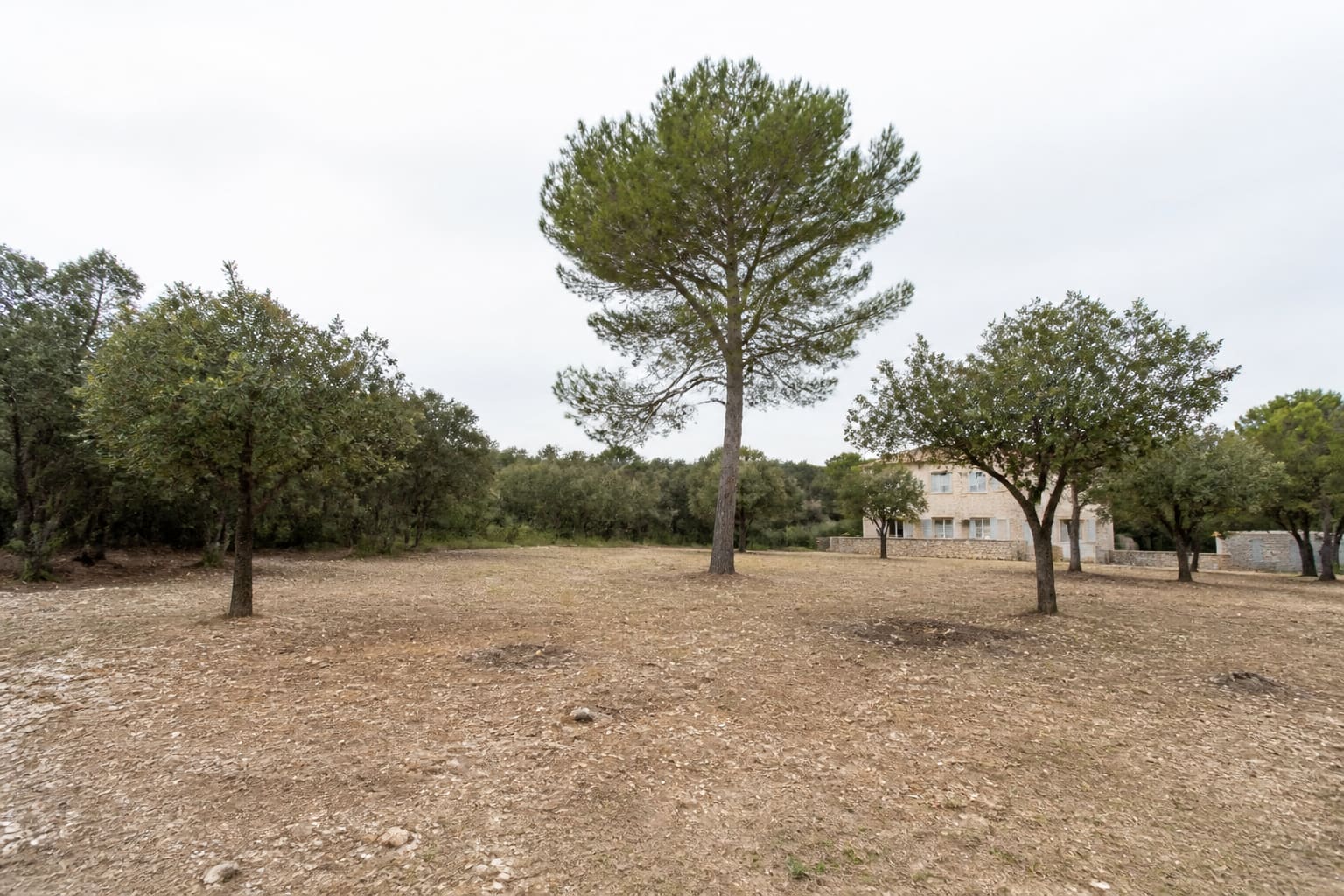 A plot on the edge of garrigue, cleared around a house, in the northern Vaucluse