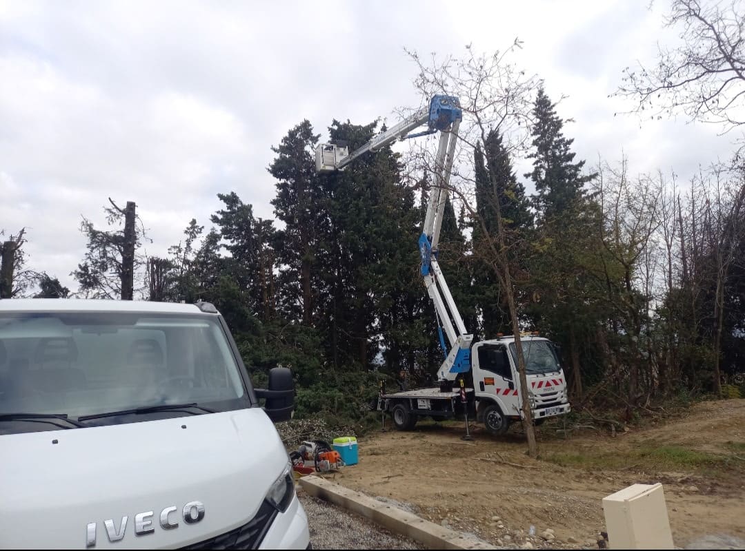 Nacelle élévatrice déployée dans un arbre, camion porteur au premier plan